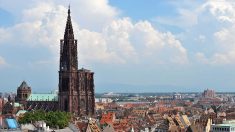 Strasbourg : habillés en Spider Man, quatre jeunes escaladent la cathédrale à mains nues