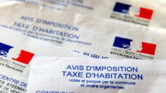 Taxe d’habitation : les erreurs sur la collecte en 2023 ont coûté 1,3 milliard d’euros à l’État