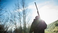 Un chasseur tire par accident sur son fils de 18 ans