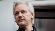 La Suède abandonne les poursuites pour viol contre Julian Assange