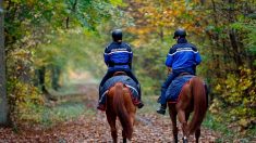 Femme enceinte tuée en forêt : où en est l’enquête quinze jours après les faits ?