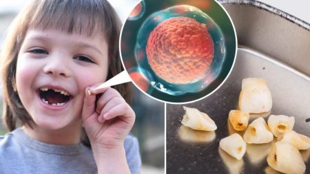 Les dentistes demandent aux parents de ne pas jeter les dents de bébé de leurs enfants, voici pourquoi