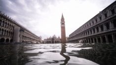 Venise plonge à nouveau sous la mer, cette fois avec une marée de 1,54 mètres