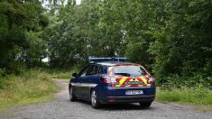 Femme enceinte tuée en forêt : présent parmi les veneurs, le commandant des gendarmes témoigne pour la première fois