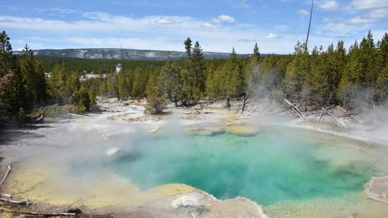 Vue d'une source d'eau chaude dans le bassin Norris Geyser dans le parc national Yellowstone le 12 mai 2016. (Mladen Antonov/AFP/Getty Images)