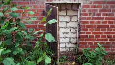 Toulouse : il construit un mur pour bloquer l’entrée de son logement et retrouve un adolescent à l’intérieur