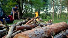 Essonne : expulsé de son logement, un couple est obligé de vivre dans les bois avec ses enfants