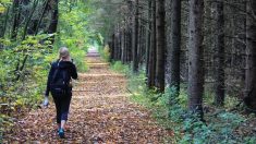 Aisne : Une femme enceinte retrouvée morte dans la forêt, tuée par des morsures de chiens