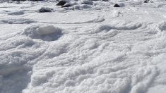 En Normandie, à Houlgate, l’écume a recouvert le bord de mer comme un manteau de neige