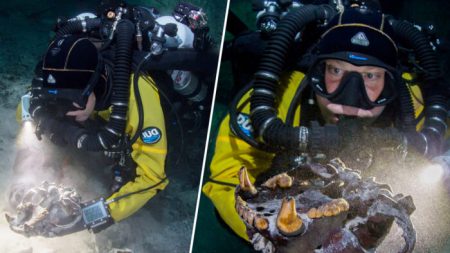 Des ossements de bêtes datés à plus de 13.000 ans trouvés dans une grotte sous-marine au Mexique