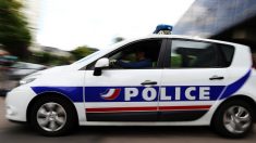 Quimper : un Comorien jugé pour des injures racistes et des violences sur un quadragénaire qui promenait son chien