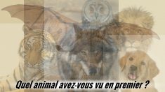 Le premier animal que vous voyez dans cet amalgame d’images révèle votre vrai moi intérieur