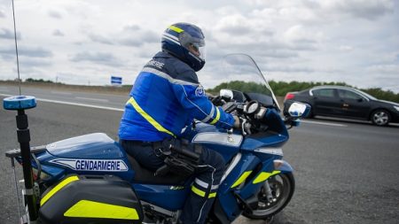 Gard : ils aperçoivent une licorne sur l’autoroute et préviennent les gendarmes