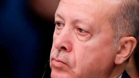 Gaz en Méditerranée: la Turquie et la Libye pourraient unir leurs efforts (Erdogan)