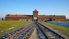 La chancelière allemande Angela Merkel visite Auschwitz