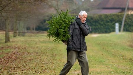 Les Lettons appelés à choisir eux-mêmes leur arbre de Noël en forêt