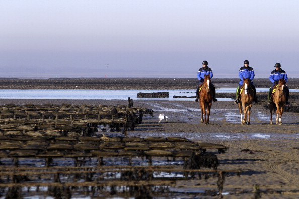 -Des policiers à cheval patrouillent des cultures d'huîtres pour les protéger des voleurs le 10 décembre 2013 à Géfosse-Fontenay, dans le nord-ouest de la France. Photo CHARLY TRIBALLEAU / AFP via Getty Images.