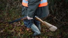 Un vététiste blessé par balle par un chasseur dans le Vaucluse