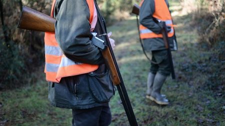 Un chasseur reçoit 20 à 30 plombs lors d’une battue en Bretagne