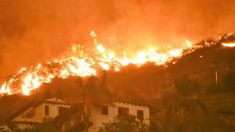 Comment une famille s’est battue pour protéger sa maison du feu de forêt de Woolsey