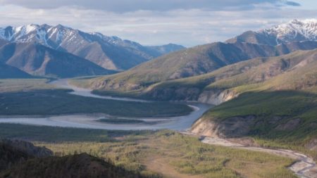 Découverte d’un chiot de 18.000 ans parfaitement préservé, avec même ses moustaches, dans le permafrost de Sibérie