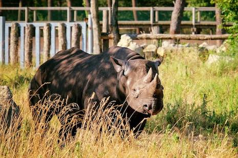 (Photo Facebook : Zoo du Bassin d'Arcachon)