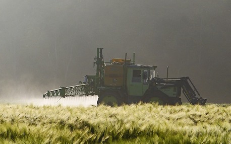 Glyphosate : retrait de 36 produits en France à partir de 2021.(Photo d'illustration : crédit Pixabay)