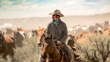 Un cowboy, attristé de voir des mustangs sauvages en captivité, dédie 4450 hectares à un sanctuaire de chevaux sauvages