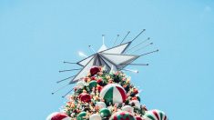 Le tri des poubelles à l’occasion des fêtes de Noël