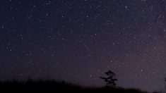 Une pluie d’étoiles filantes Géminides s’apprête à illuminer le ciel, voici quand et comment les voir