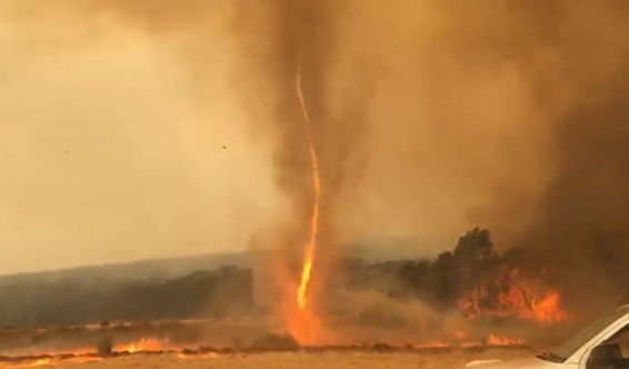 Tornade de feu en Australie. (Photo : capture d'écran Facebook/Brenton  Davis)