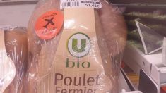 Outre-mer : un poulet bio importé de métropole vendu 51 euros