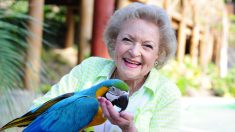 Betty White, l’actrice des «Craquantes», a 98 ans – voici 8 de ses meilleures déclarations