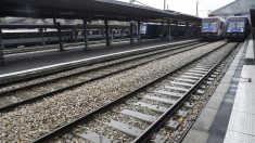 Nord : une adolescente de 15 ans meurt happée par un train à Douai