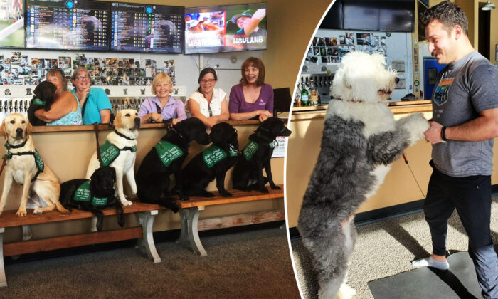 (Photo : avec l'aimable autorisation de Fido's - "World's First Dog Tap House")