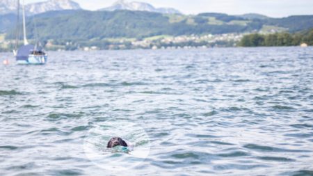 «Ça a été très émouvant»: Un chien attaché à une roche et jeté dans une rivière gelée est sauvé par un inconnu héroïque