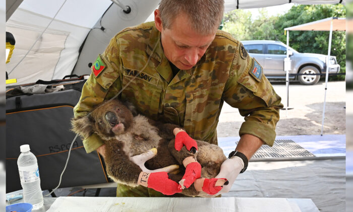 (Illustration - Getty Images)