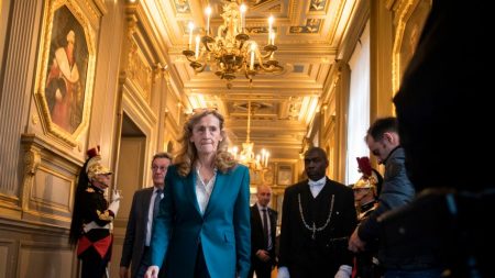 [Vidéo] Une véritable « mêlée » de rugby entre des avocats et des gendarmes en plein palais de justice de Paris pendant le passage de Nicole Belloubet