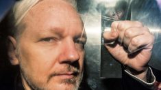 Le lanceur d’alerte Julian Assange, fondateur de Wikileaks, est sorti de l’isolement