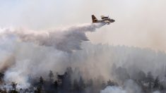 Feux en Australie : trois pompiers américains ont perdu la vie dans le crash d’un avion bombardier d’eau