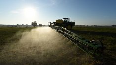 Une première en Europe : le Luxembourg va interdire le glyphosate fin 2020