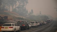 Incendies en Australie: des villes entières évacuées avant un nouveau pic de chaleur