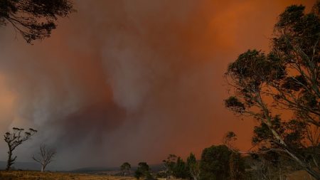 Incendies en Australie : Emmanuel Macron propose une « aide opérationnelle immédiate »