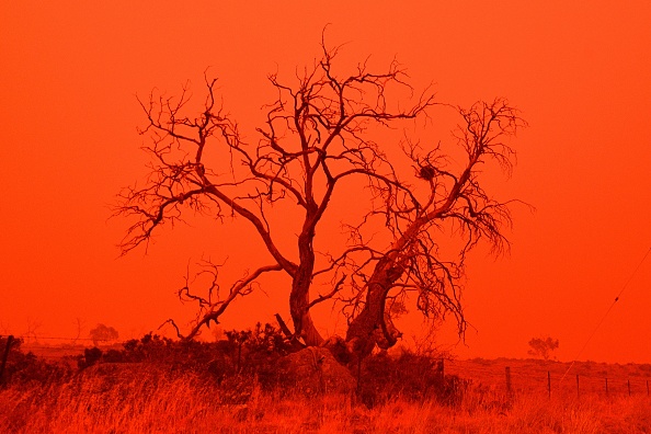 Le ciel devient rouge de la fumée du feu de brousse de Snowy Valley à la périphérie de Cooma, Australie, le 4 janvier 2020. (Photo : SAEED KHAN/AFP via Getty Images)