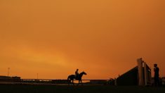 Des nuages de fumées des incendies australiens ont atteint le Chili, l’Argentine et le Brésil