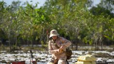 Au Vietnam, des femmes désamorcent les bombes de la guerre