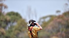 Australie: le « méga-feu » est maintenant sous contrôle et la pluie est attendue