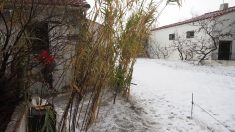 Tempête Gloria : département de l’Aude en vigilance orange, en plus des Pyrénées-Orientales