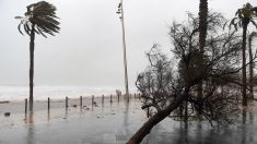 Tempêtes Inès et Dennis, le nord-ouest en vigilance orange