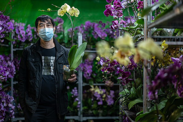 -Un résident portant un masque facial achète des fleurs à la foire du Nouvel An lunaire le 23 janvier 2020 à Hong Kong, Chine. Photo par Anthony Kwan / Getty Images.